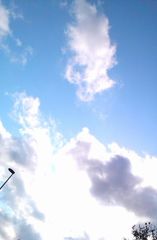 青と白
