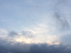 2017/07/25