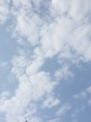2017/07/19