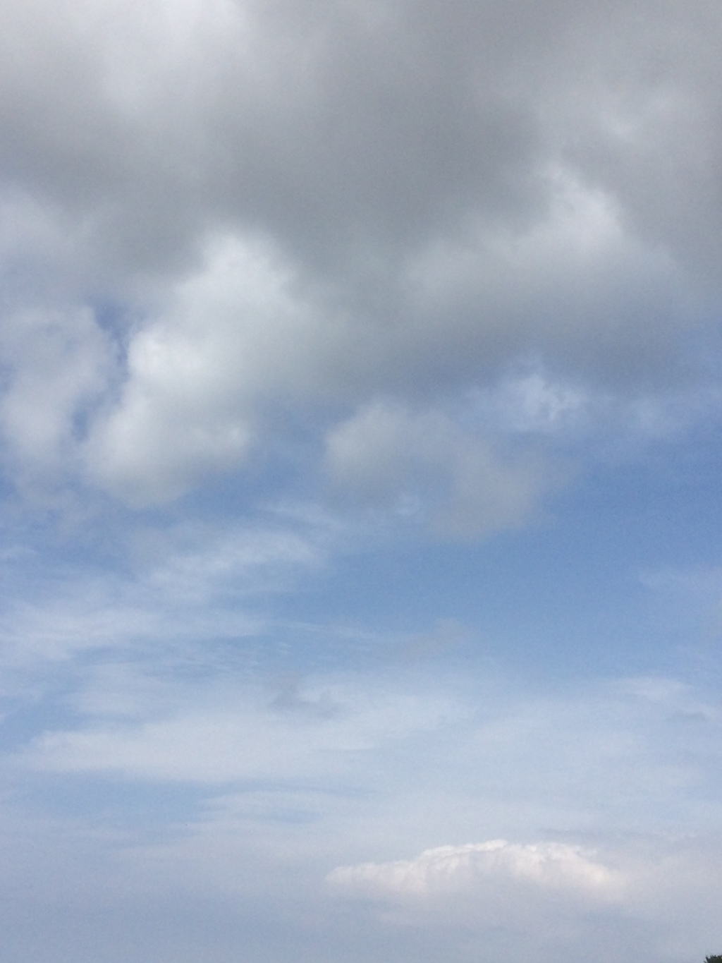 2017/07/29