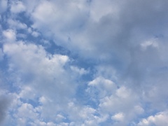 2017/08/13