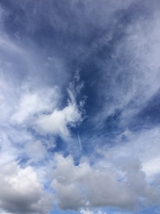 2016/0803