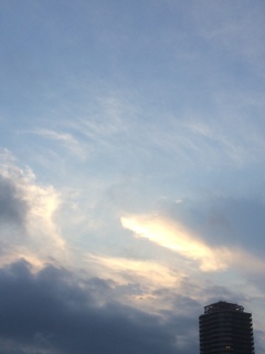 2017/07/25