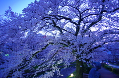 blue