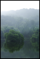 湖畔にて