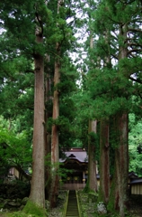 深山幽谷