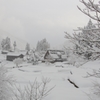 雪国にて