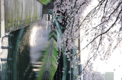 ｂridge