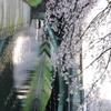 ｂridge
