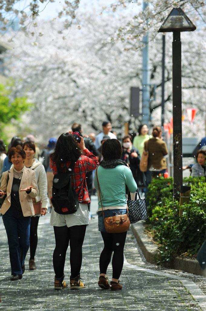 桜吹雪を浴びながら