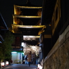 京都　花灯路　2012
