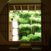 浄妙寺　喜泉庵