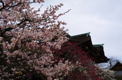 北野天満宮
