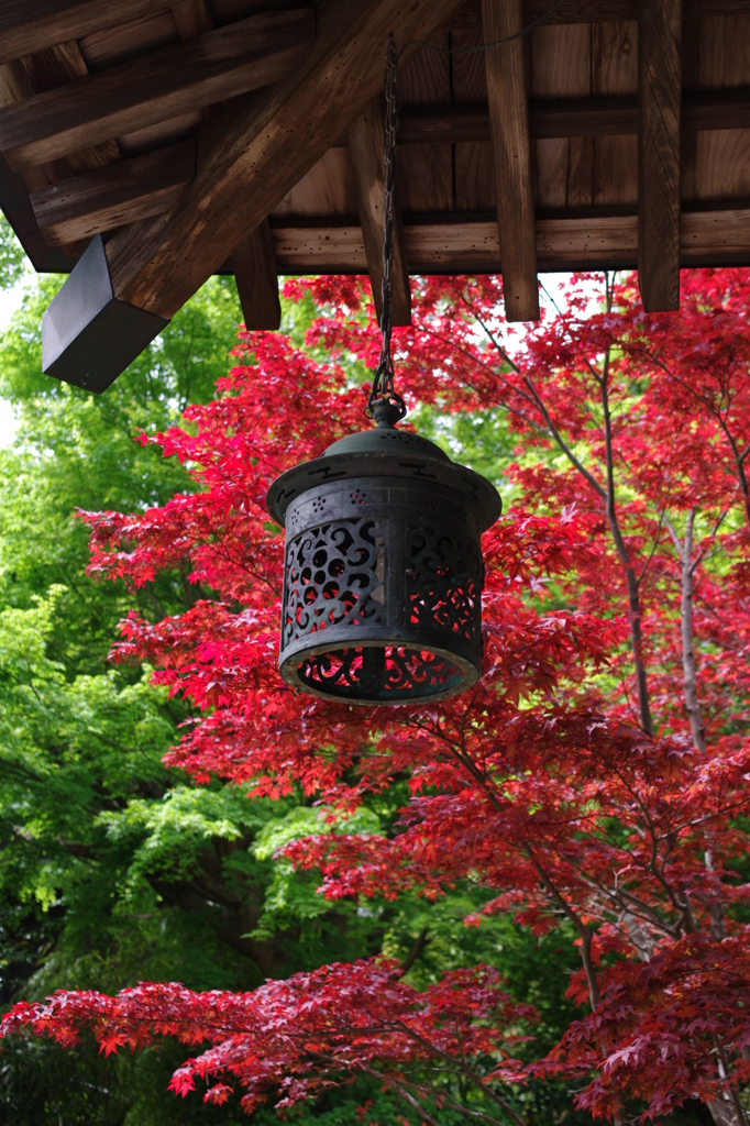 海蔵寺