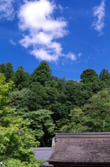 室生寺
