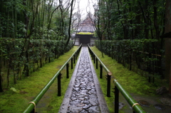 高桐院