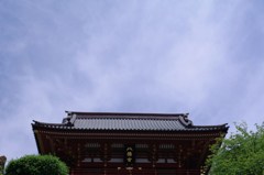 五月晴れ
