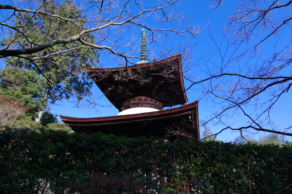 常寂光寺