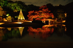 六義園　ライトアップ