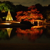 六義園　ライトアップ