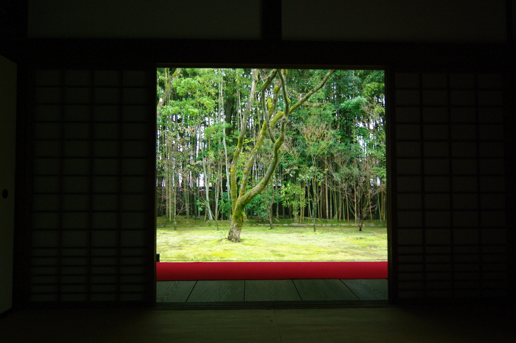 高桐院