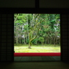 高桐院