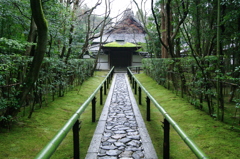 高桐院