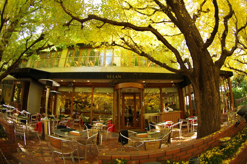 テラスで秋を満喫