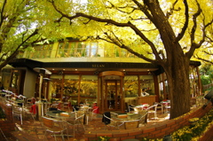 テラスで秋を満喫