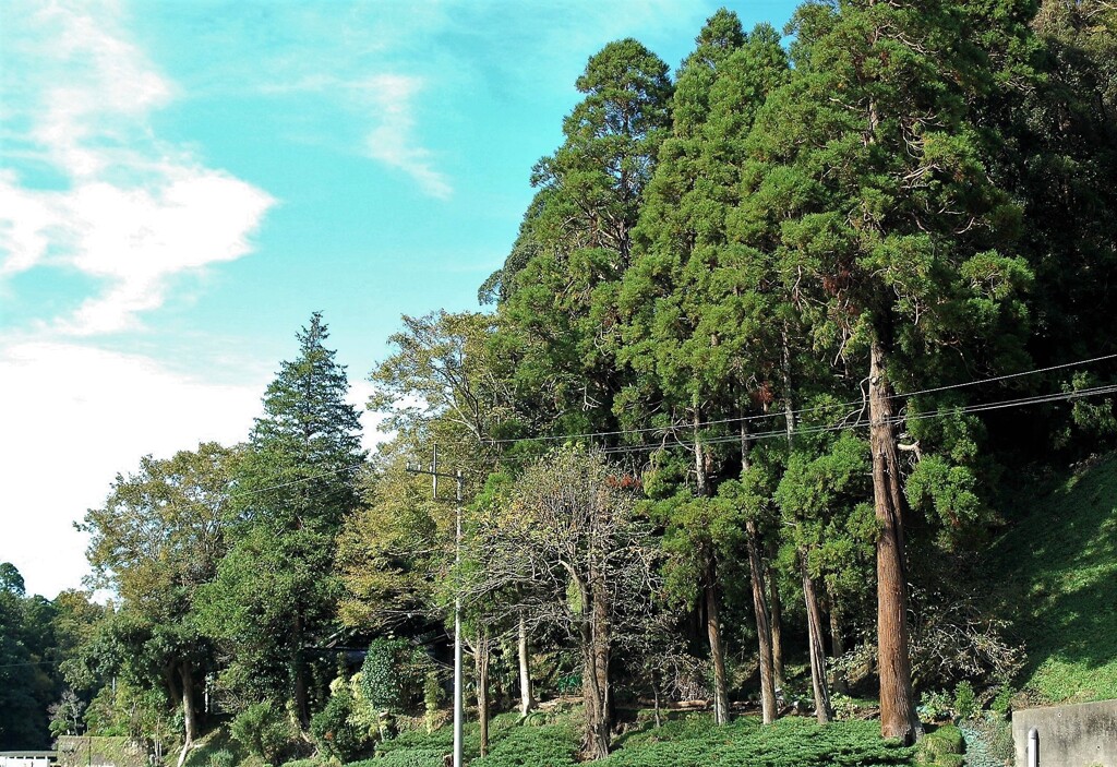 里山散歩