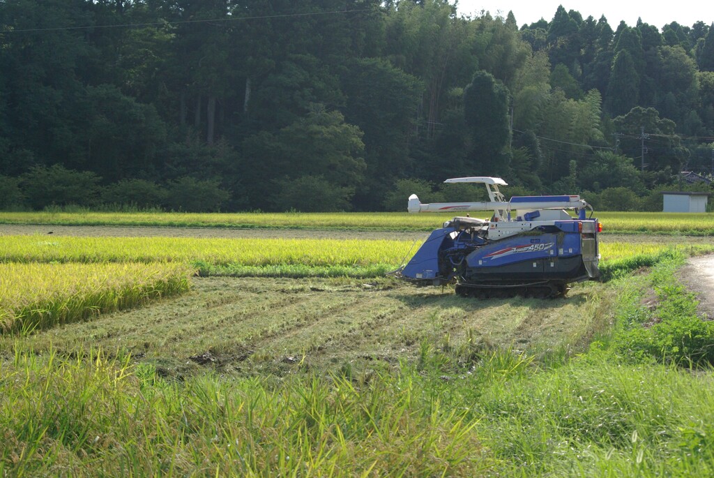 続きはまた明日