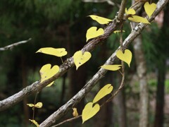 つなぐ気持ち