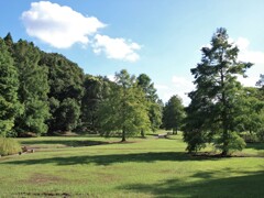 いつもの公園　晩夏の午後