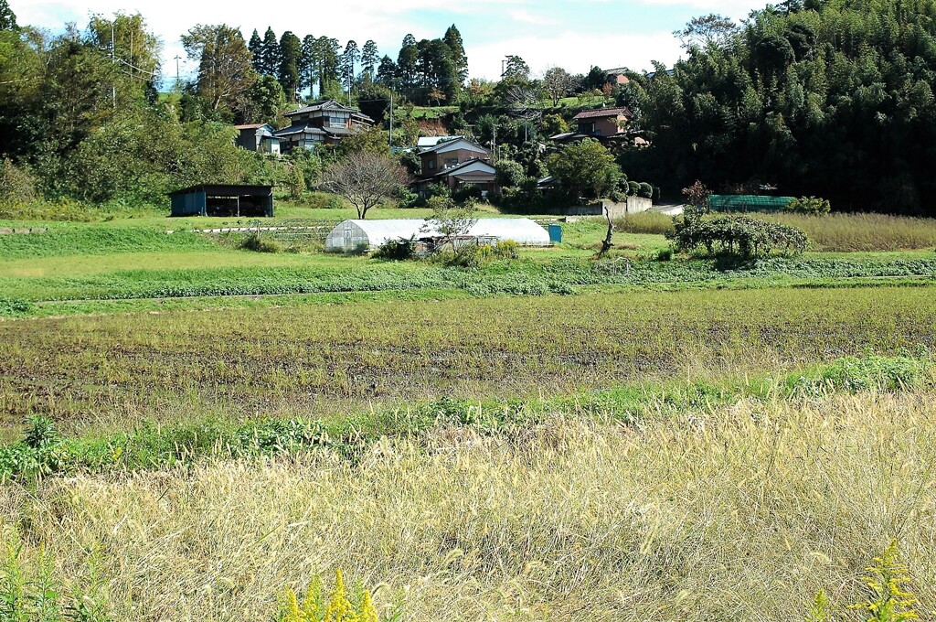 里山散歩