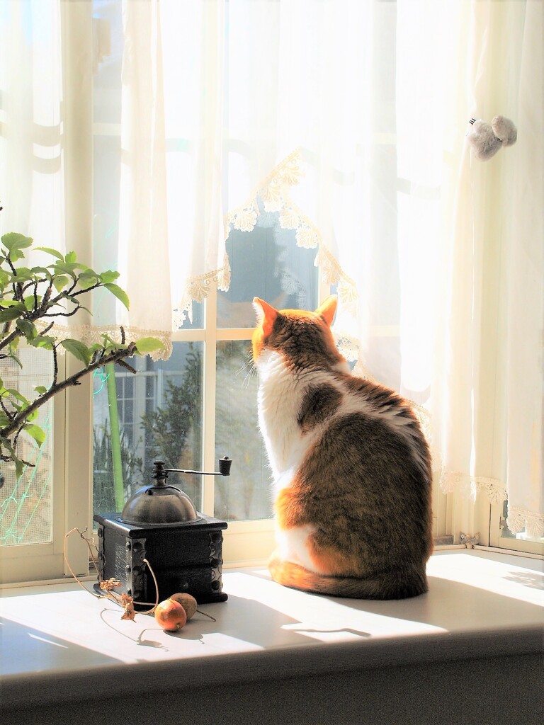 今日も良い天気だけどね…