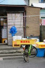 勝浦散歩2