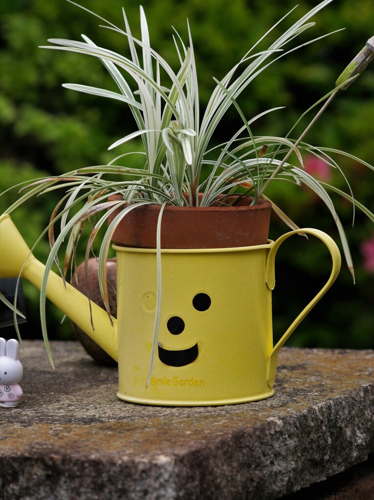 今月も元気に過ごしましょう