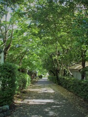 気分は避暑地だけど…