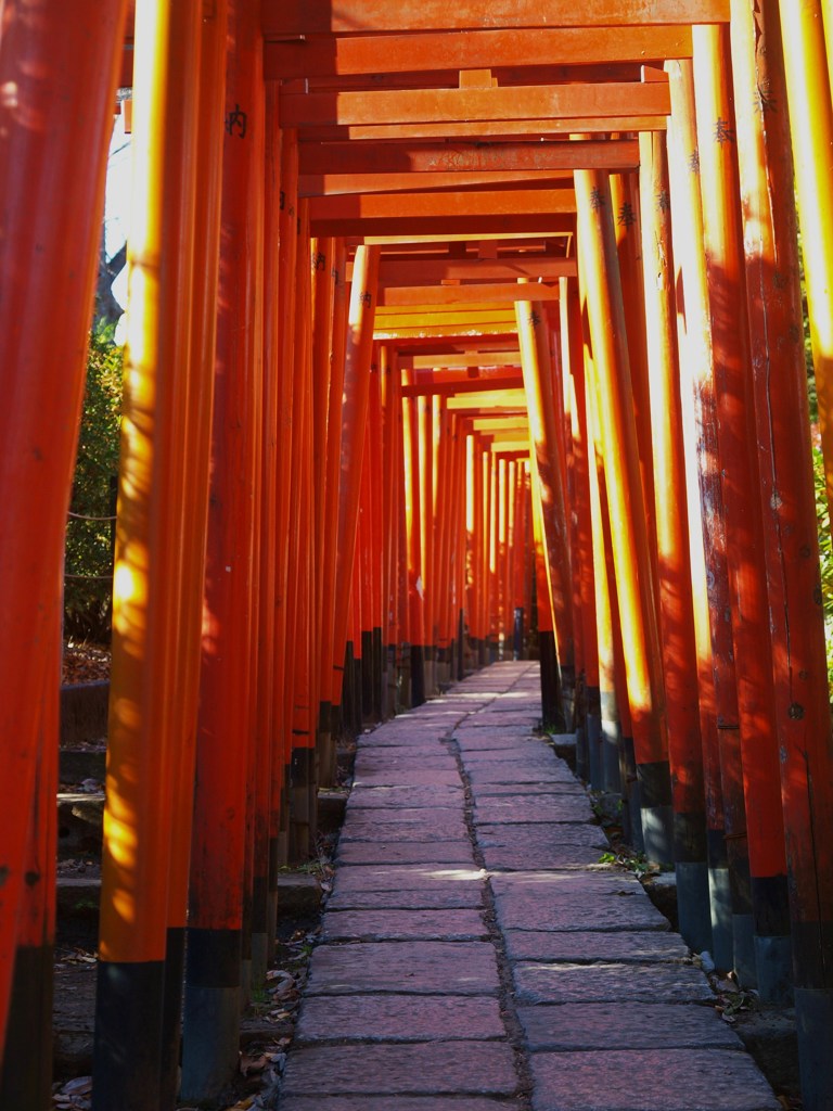 根津神社にて