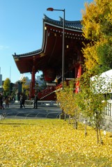 浅草寺秋色1
