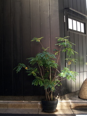 日本橋点描Ⅲ