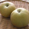 いすみの岬梨 幸水