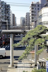 船橋散策3