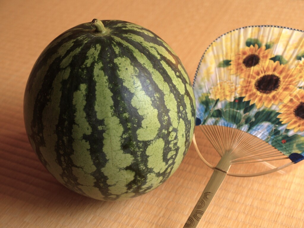 夏の贈り物