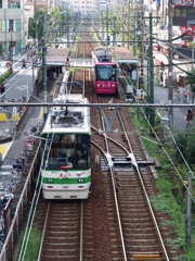 早稲田に行くか、三ノ輪に行くか…