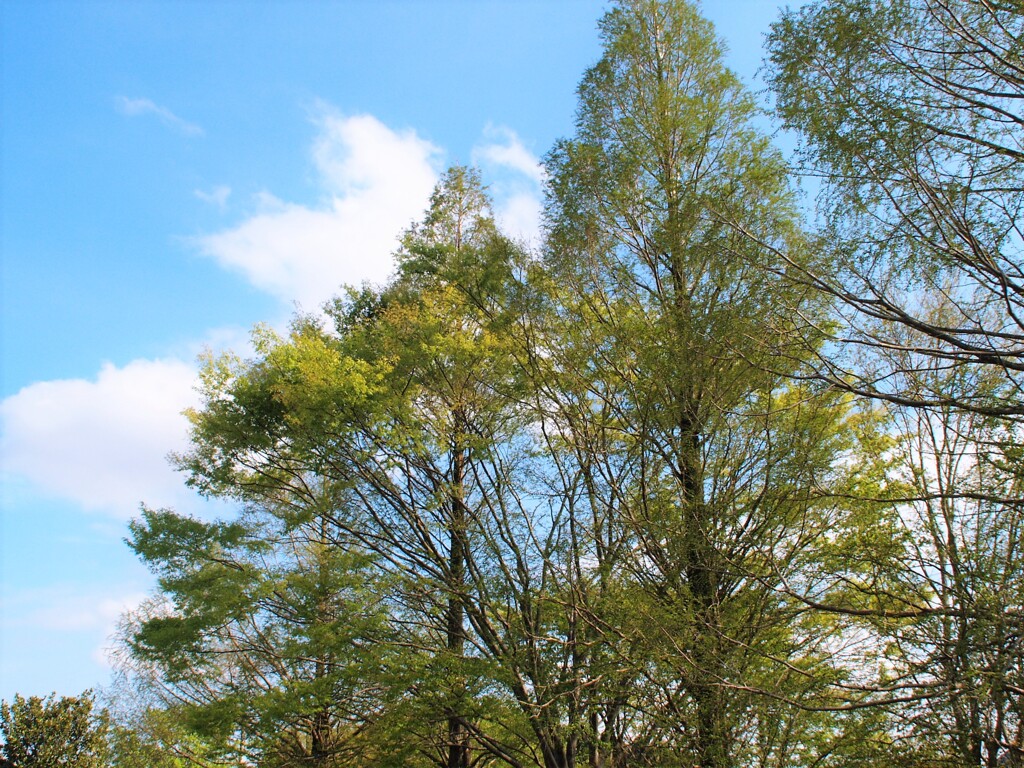 心地よい日差しと風