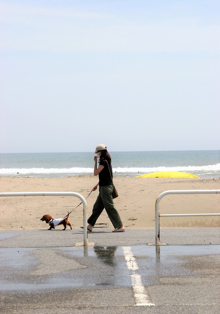 人それぞれの海