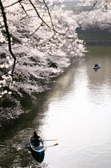 春の日にⅡ