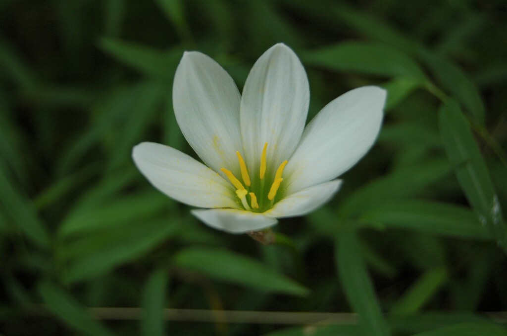 ひとり静かに…