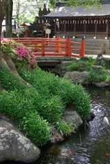 しばしコロナを忘れて